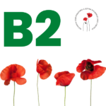 B2 Egzamin z certyfikatem - Język polski - DOROŚLI