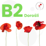 B2 Egzamin z certyfikatem - Język polski - DOROŚLI