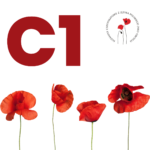 C1 Egzamin z certyfikatem - Język polski - DOROŚLI