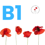 B1 Egzamin z certyfikatem - Język polski - MŁODZIEŻ