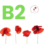 B2 Egzamin z certyfikatem - Język polski - MŁODZIEŻ