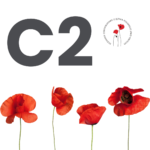 C2 Egzamin z certyfikatem - Język polski - DOROŚLI